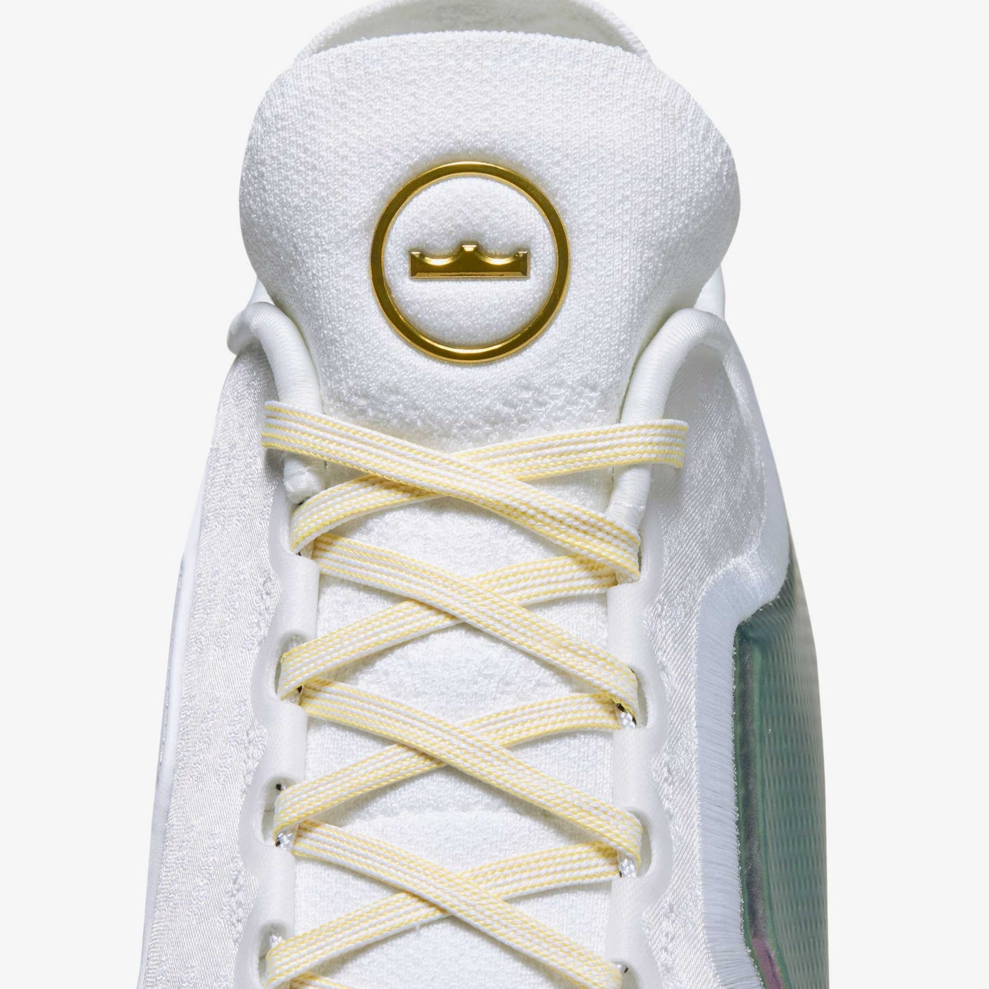 Lebron XXIII Elite "For the Record"