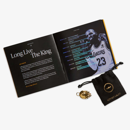Lebron XXIII "Motor King"